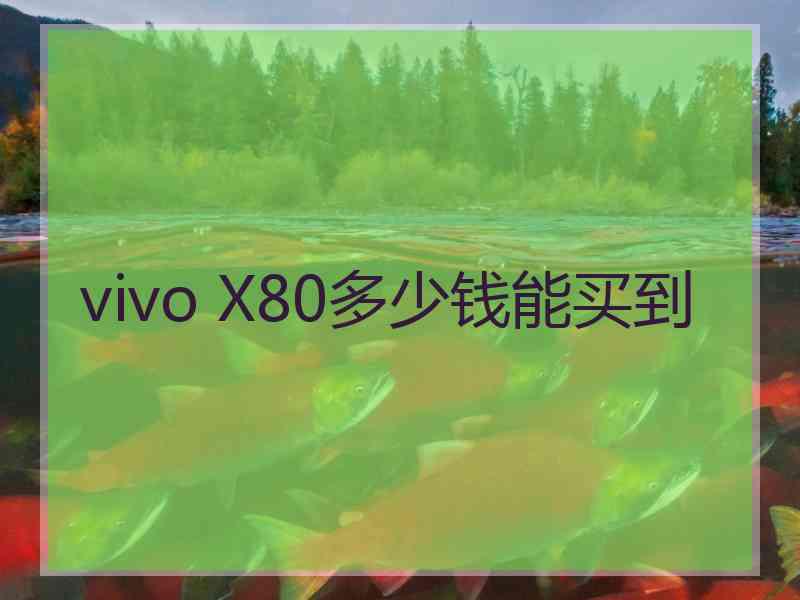 vivo X80多少钱能买到