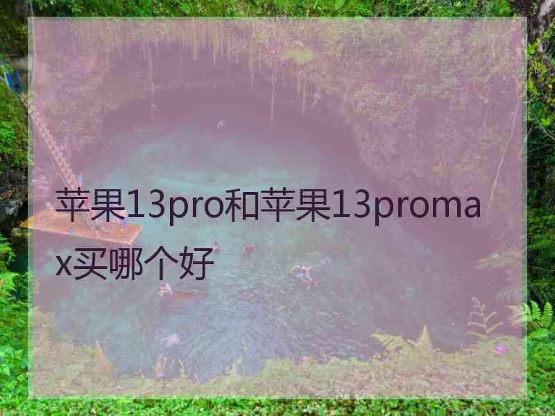 苹果13pro和苹果13promax买哪个好