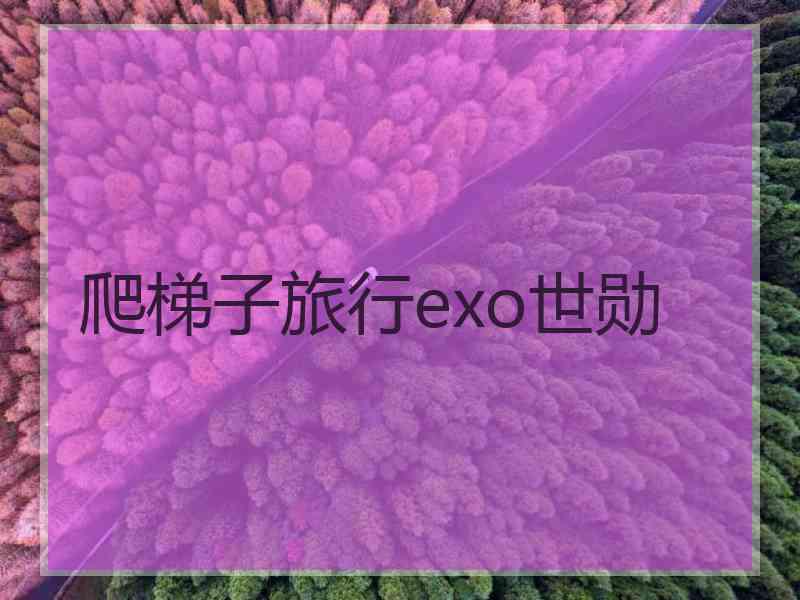 爬梯子旅行exo世勋