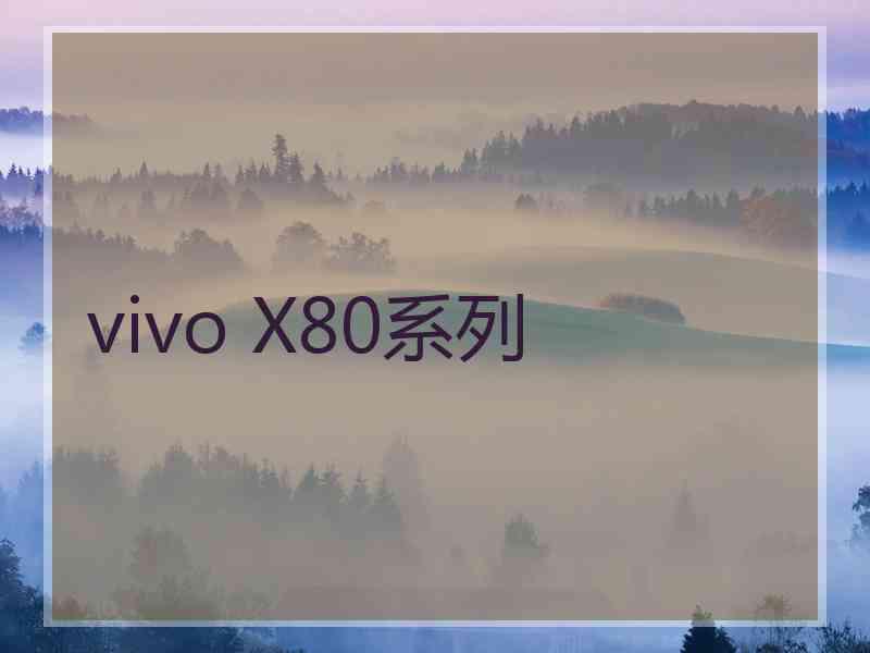 vivo X80系列