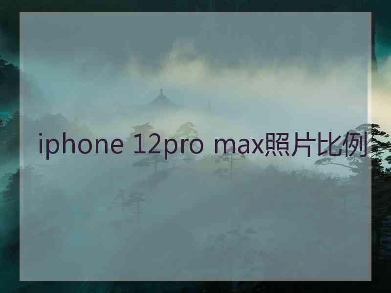 iphone 12pro max照片比例