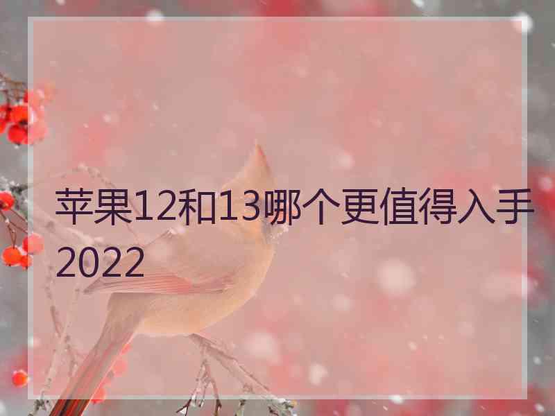 苹果12和13哪个更值得入手2022