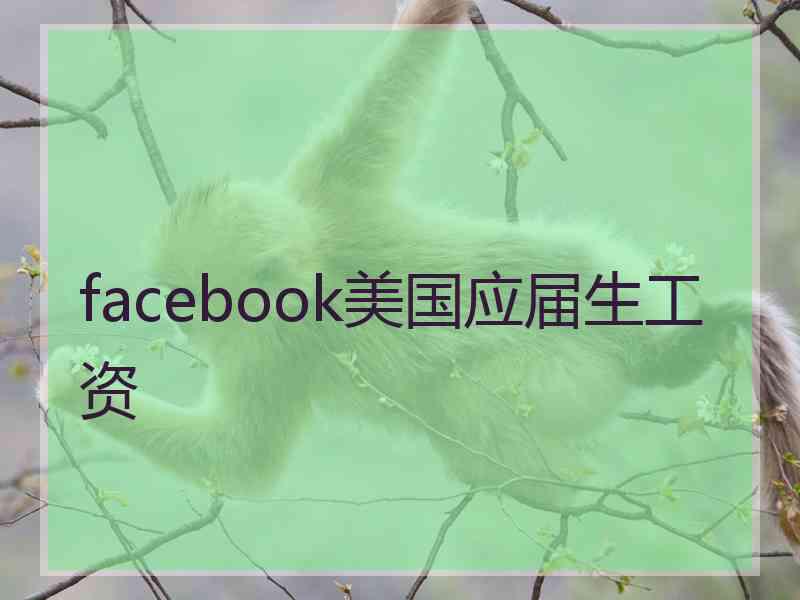 facebook美国应届生工资