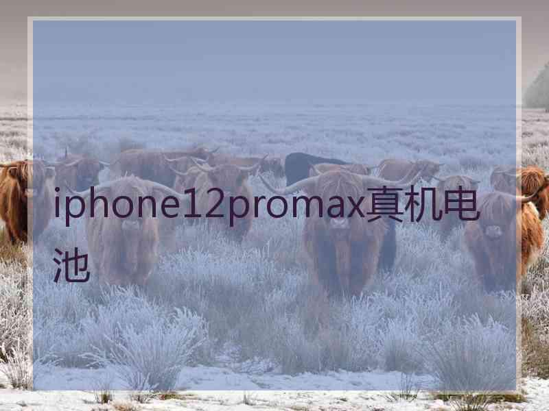 iphone12promax真机电池