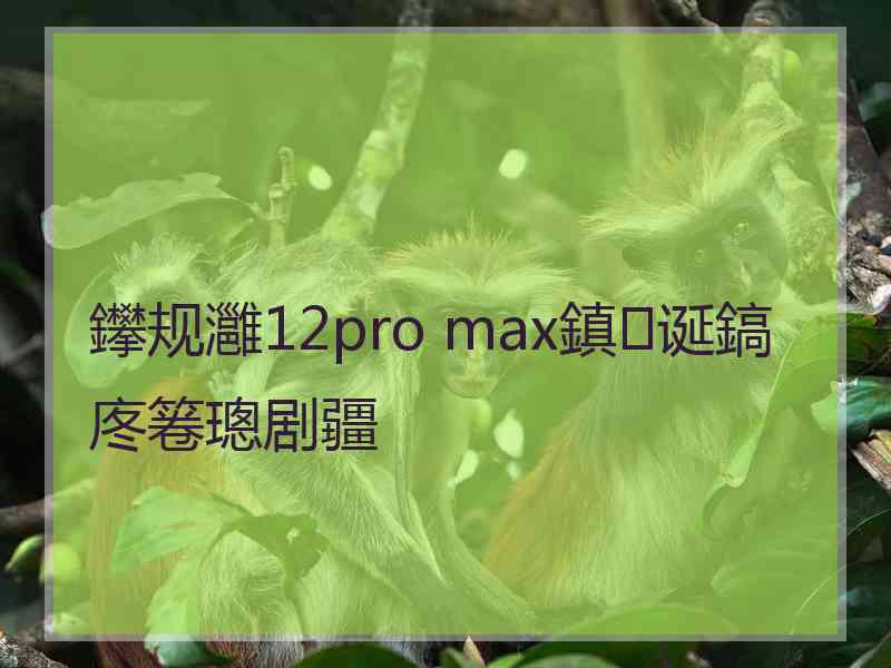 鑻规灉12pro max鎮诞鎬庝箞璁剧疆