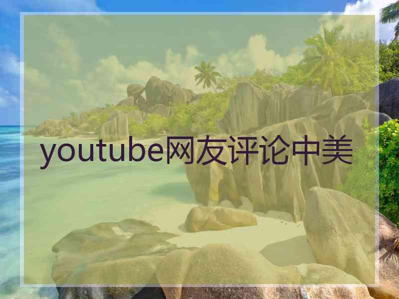 youtube网友评论中美