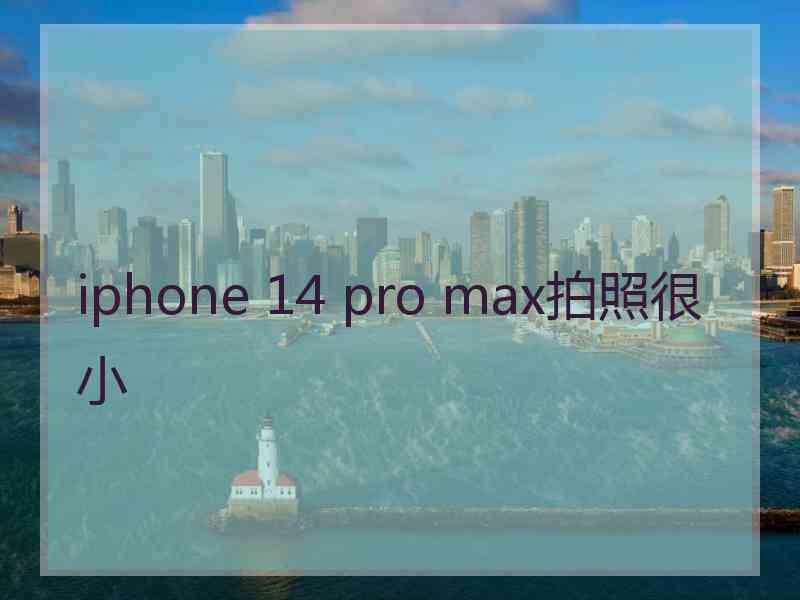 iphone 14 pro max拍照很小