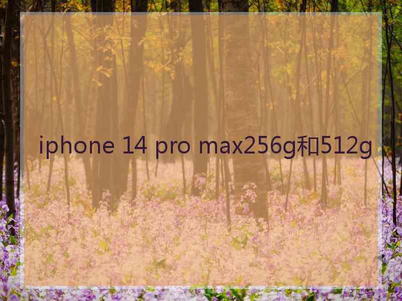 iphone 14 pro max256g和512g