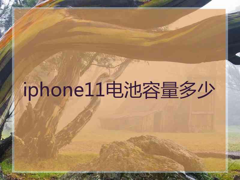 iphone11电池容量多少