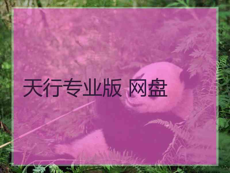 天行专业版 网盘