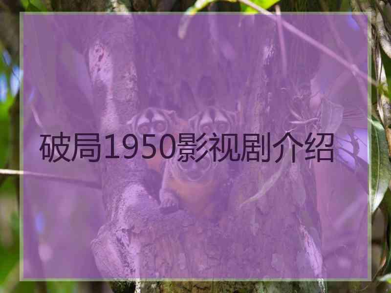 破局1950影视剧介绍