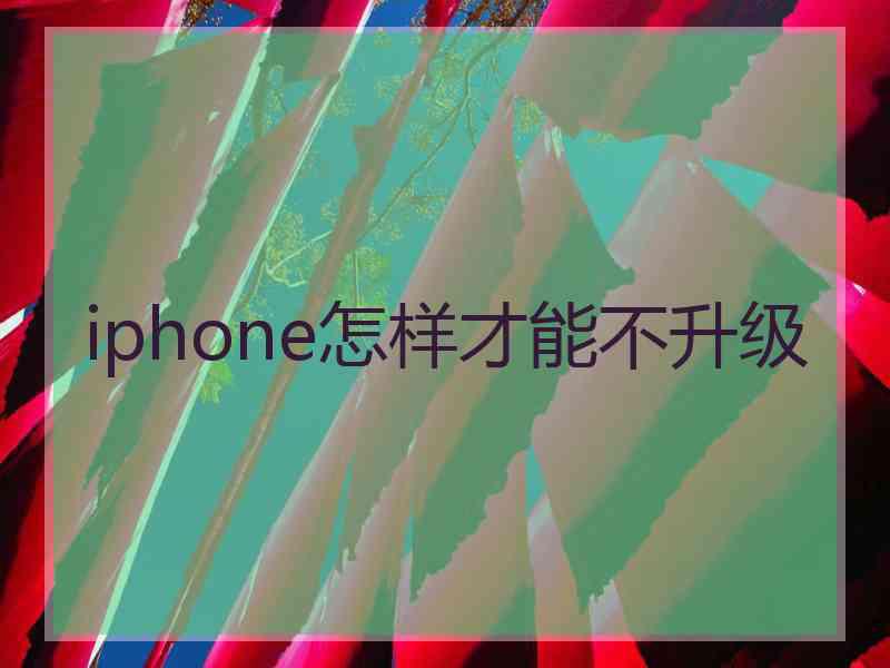 iphone怎样才能不升级