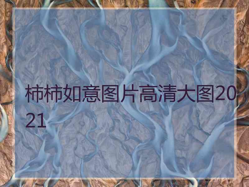 柿柿如意图片高清大图2021