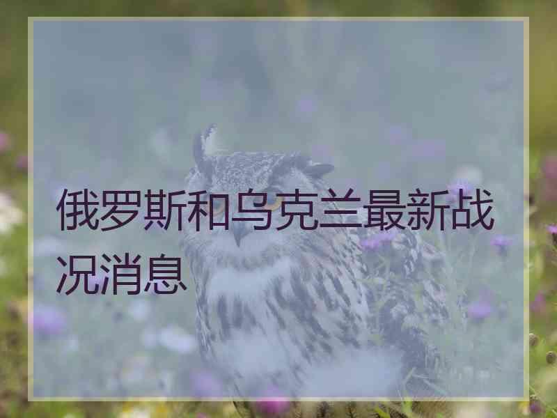 俄罗斯和乌克兰最新战况消息