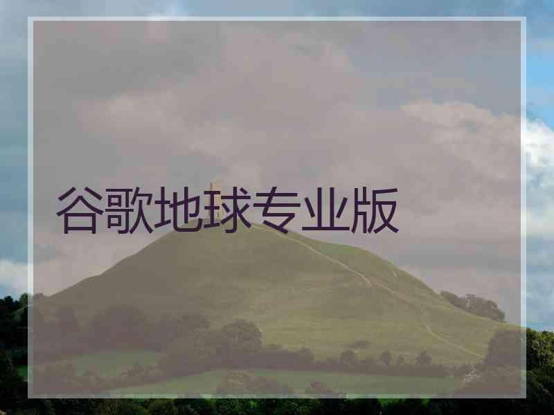 谷歌地球专业版