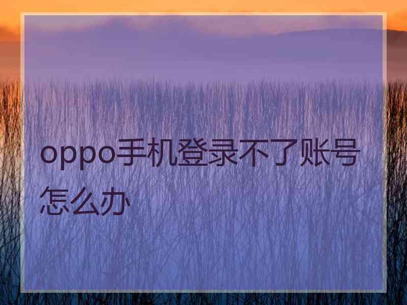 oppo手机登录不了账号怎么办