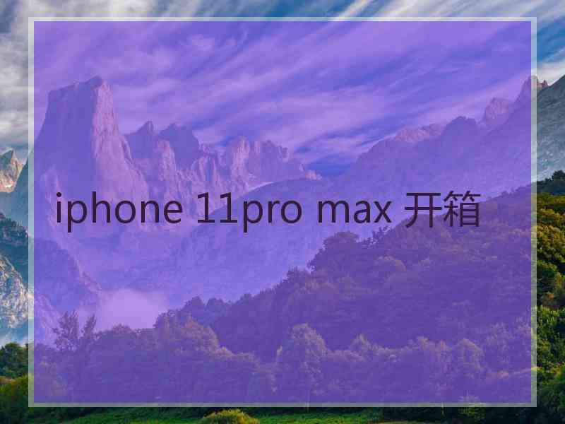 iphone 11pro max 开箱