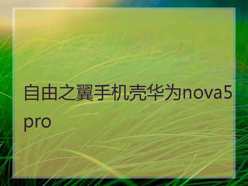 自由之翼手机壳华为nova5pro