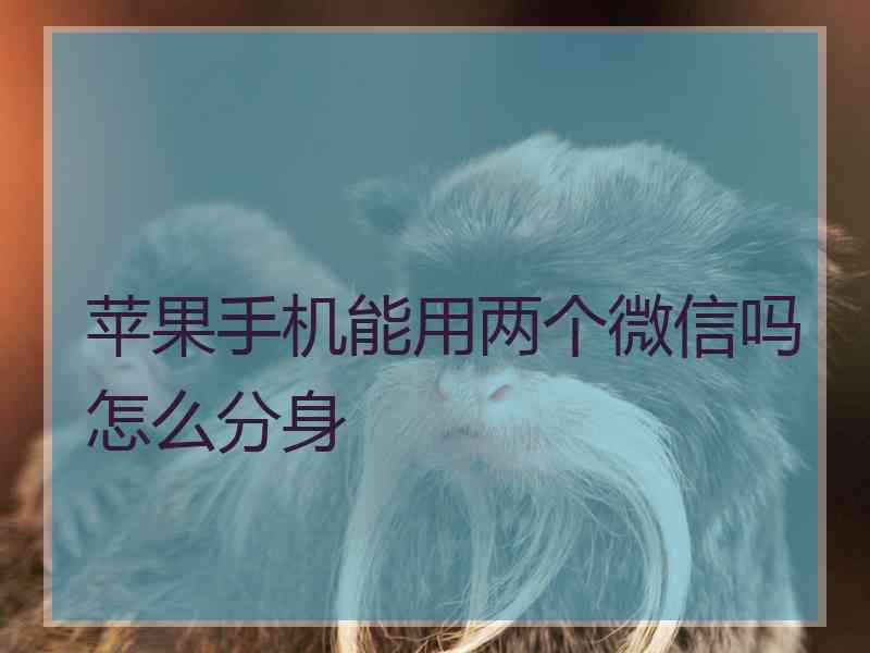 苹果手机能用两个微信吗怎么分身