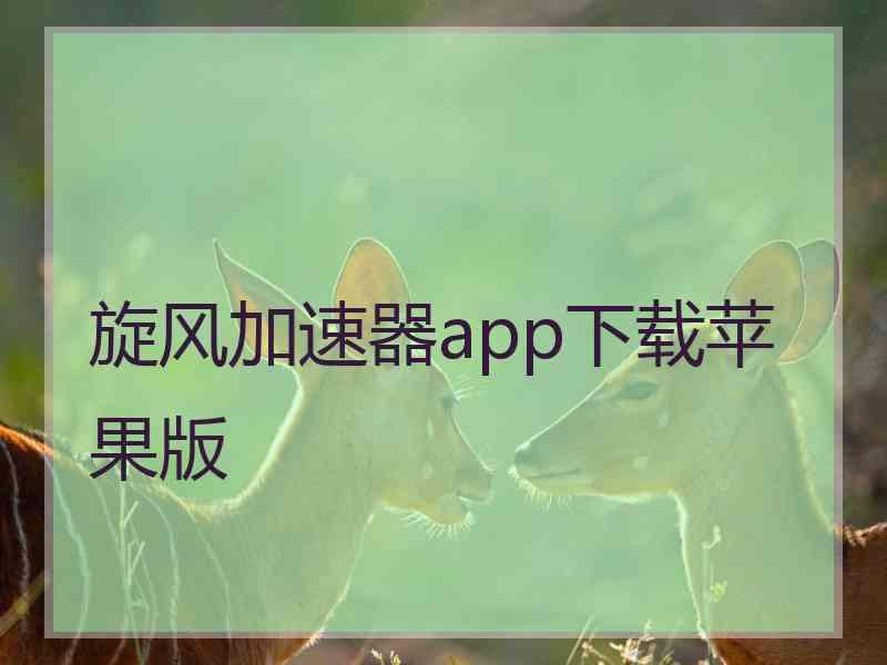 旋风加速器app下载苹果版