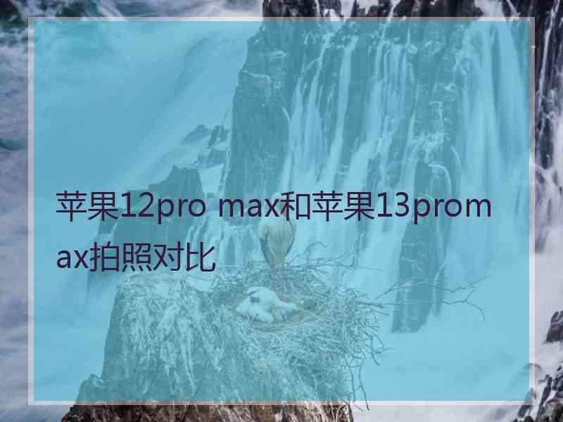 苹果12pro max和苹果13promax拍照对比