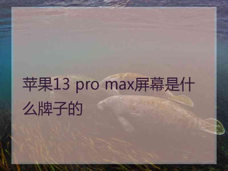 苹果13 pro max屏幕是什么牌子的