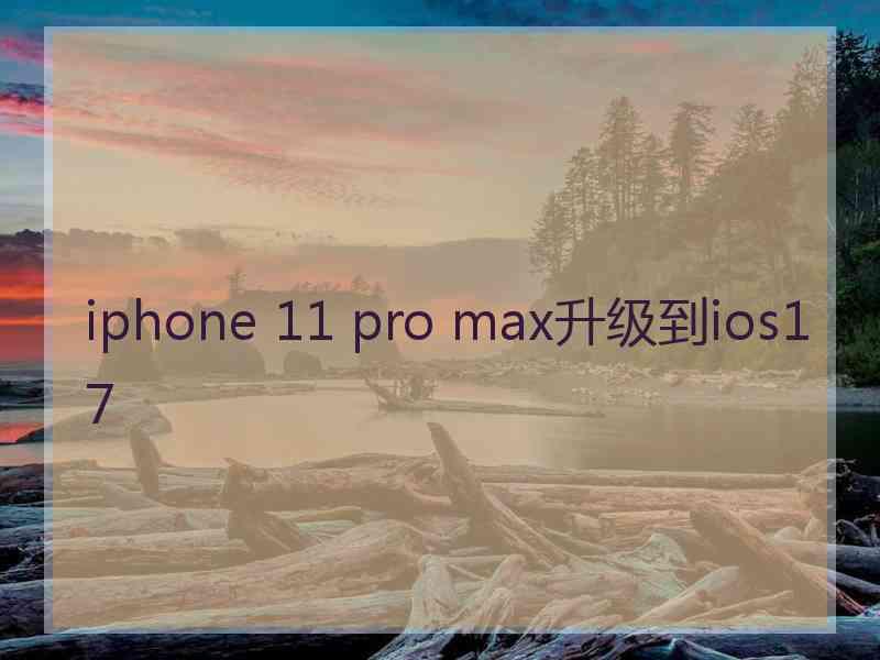 iphone 11 pro max升级到ios17