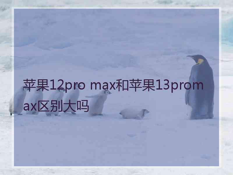 苹果12pro max和苹果13promax区别大吗