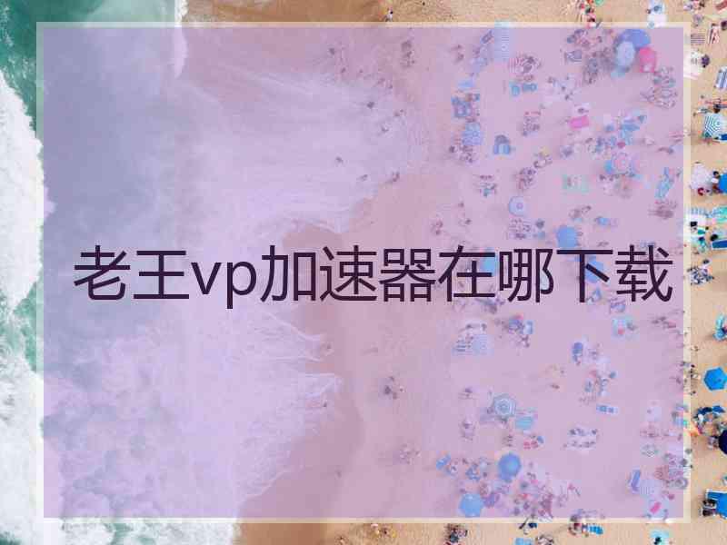 老王vp加速器在哪下载