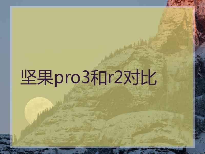 坚果pro3和r2对比