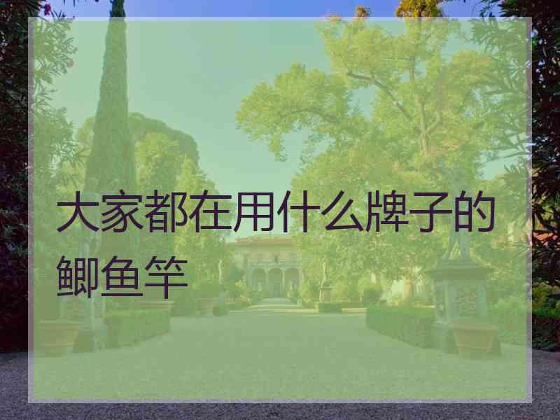 大家都在用什么牌子的鲫鱼竿