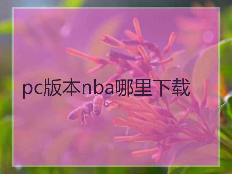 pc版本nba哪里下载