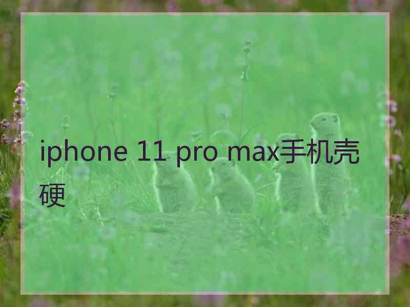 iphone 11 pro max手机壳硬