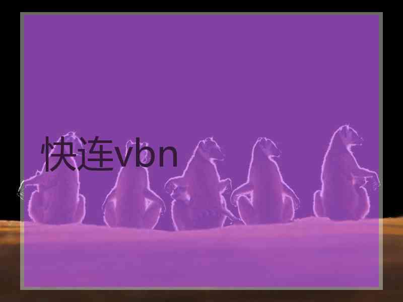 快连vbn