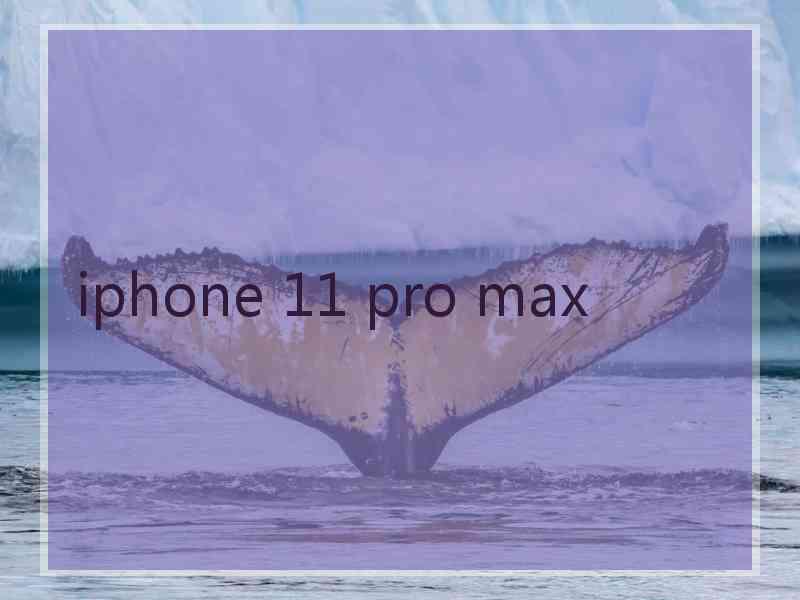 iphone 11 pro max