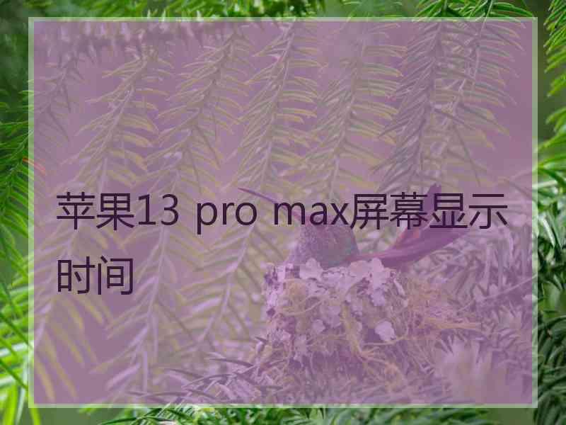 苹果13 pro max屏幕显示时间