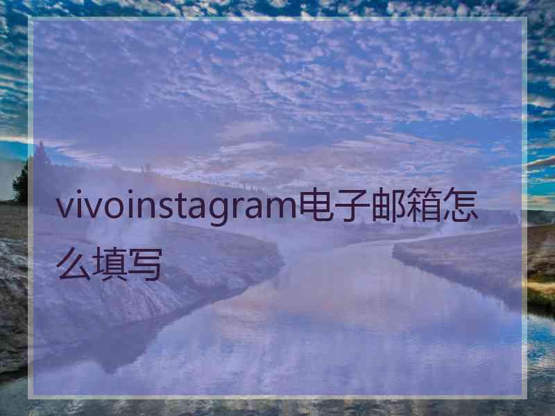 vivoinstagram电子邮箱怎么填写