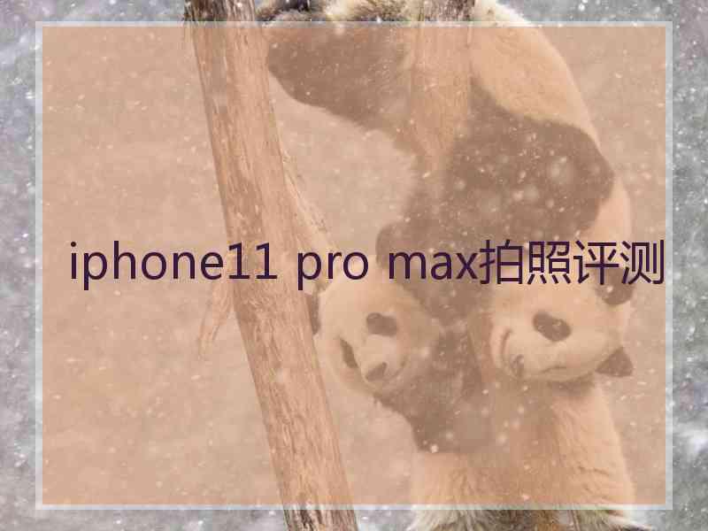 iphone11 pro max拍照评测