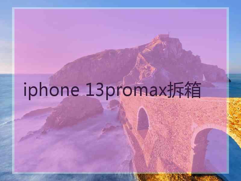 iphone 13promax拆箱