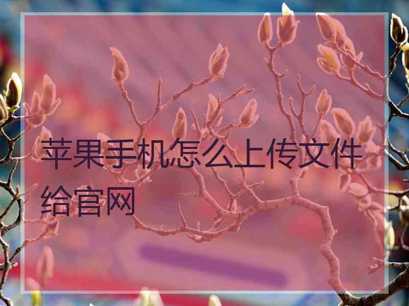 苹果手机怎么上传文件给官网