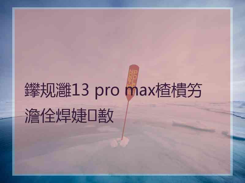 鑻规灉13 pro max楂樻竻澹佺焊婕敾