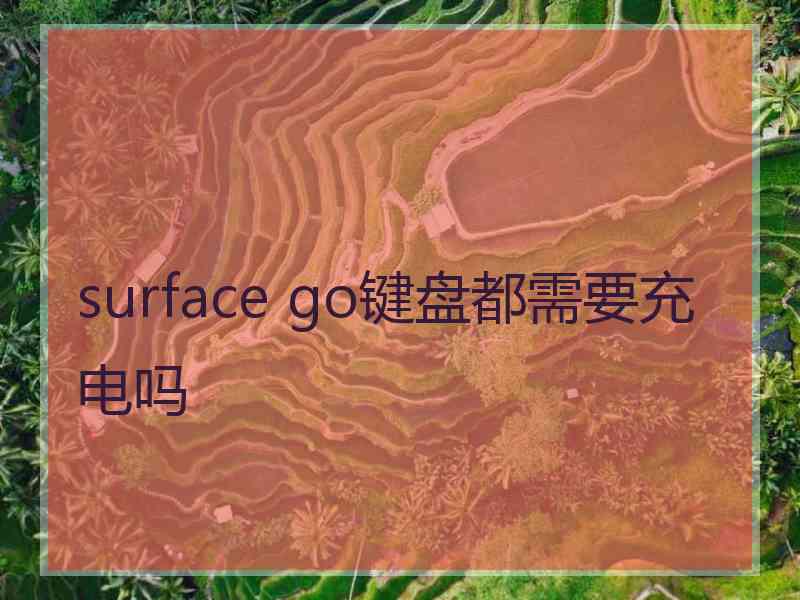 surface go键盘都需要充电吗