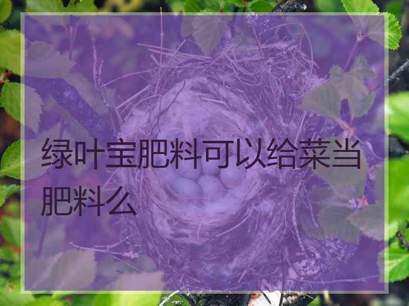 绿叶宝肥料可以给菜当肥料么