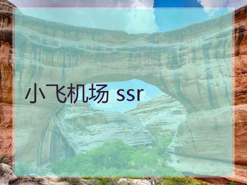 小飞机场 ssr