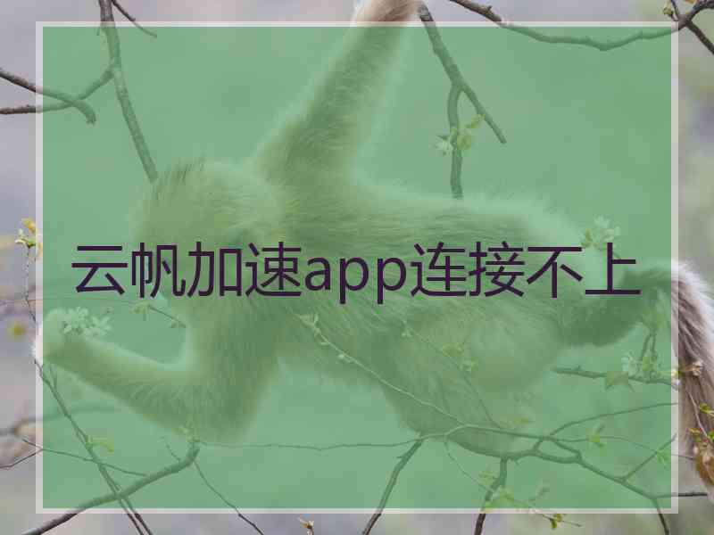 云帆加速app连接不上