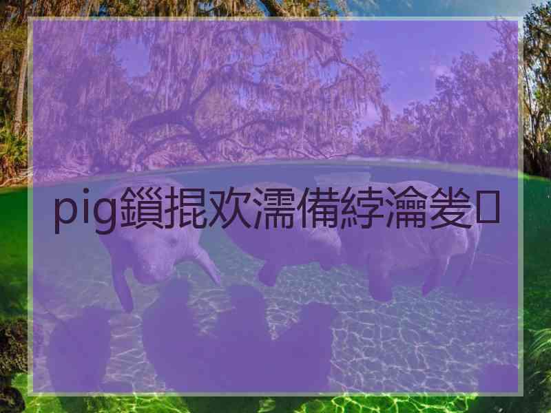 pig鎻掍欢濡備綍瀹夎