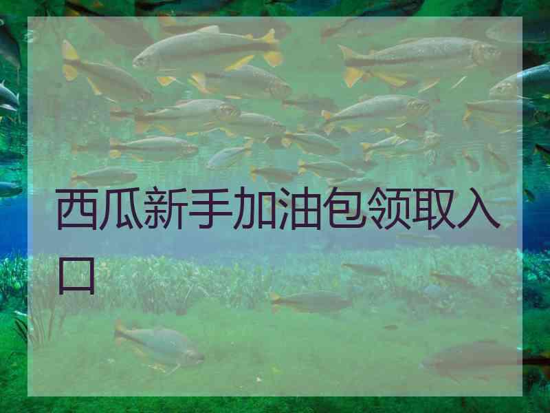 西瓜新手加油包领取入口