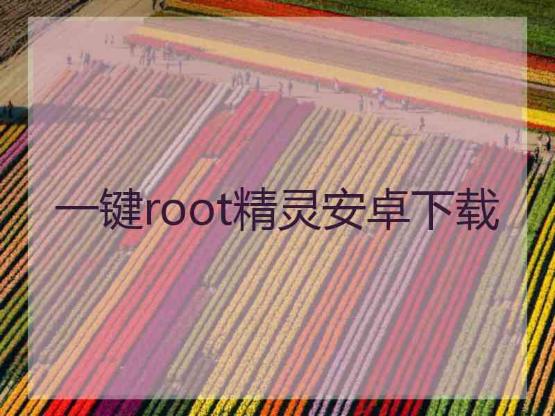 一键root精灵安卓下载