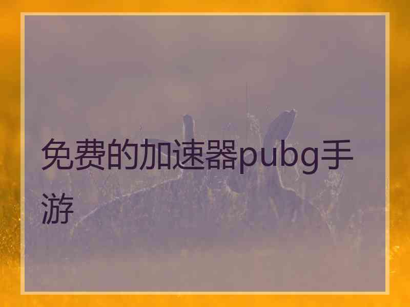 免费的加速器pubg手游