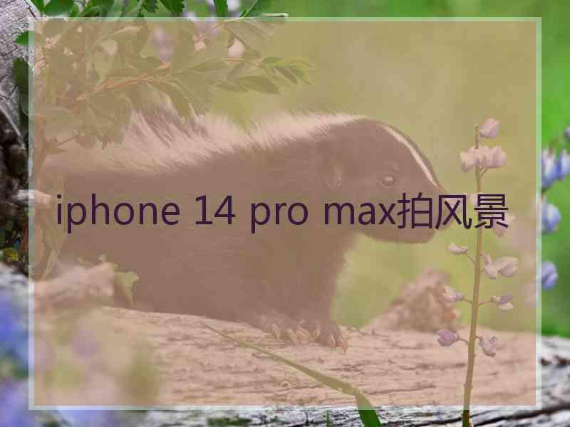 iphone 14 pro max拍风景